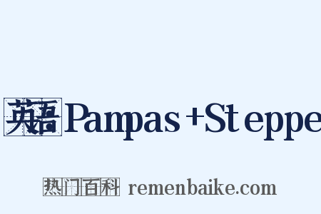 英语：Pampas+Steppe是什么意思的图片